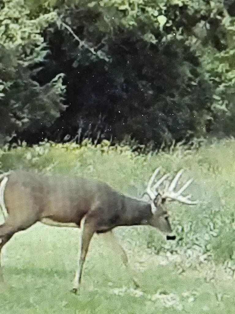 00 County Road J Road, Princeton, WI 54968 - #3