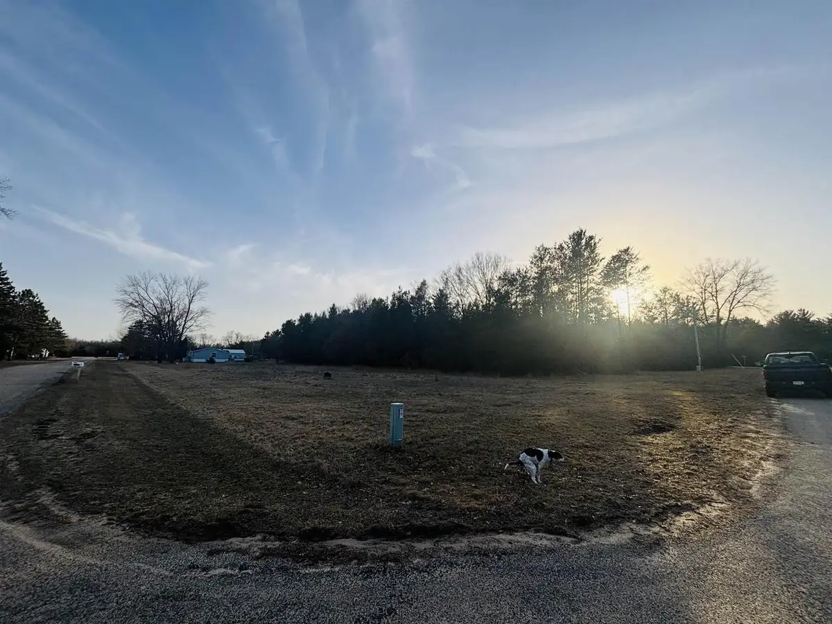 000 Birch Drive, Adams, WI 53910 - #1