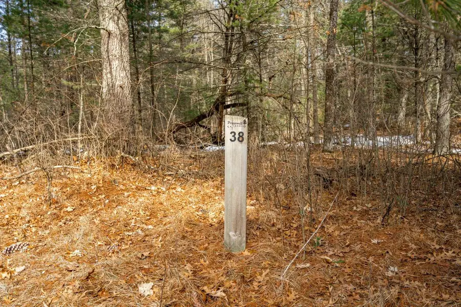 Lot 38 Badger Lane, Arkdale, WI 54613 - #2