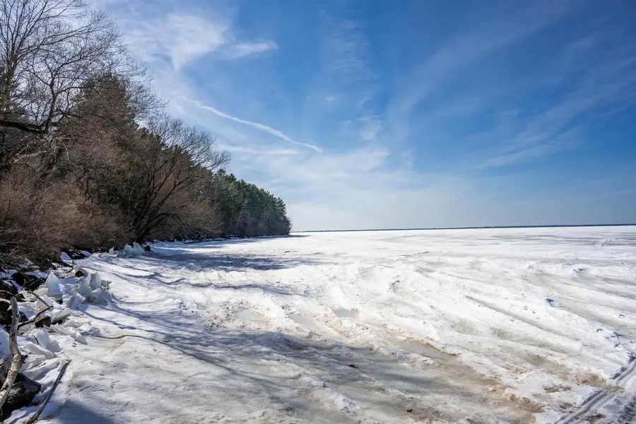 Lot 38 Badger Lane, Arkdale, WI 54613 - #3