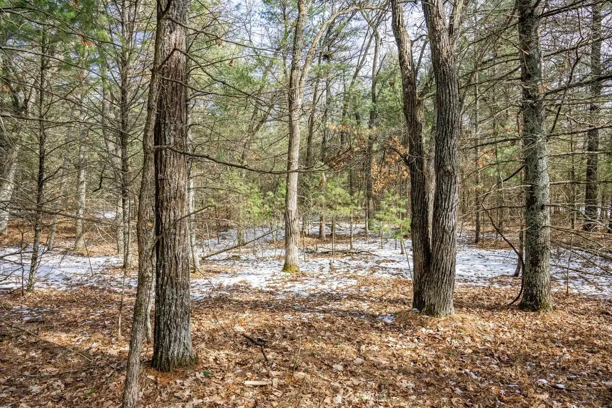Lot 39 Badger Lane, Arkdale, WI 54613 - #1