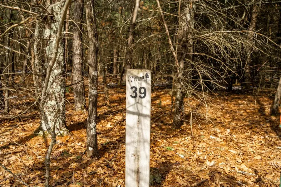 Lot 39 Badger Lane, Arkdale, WI 54613 - #2
