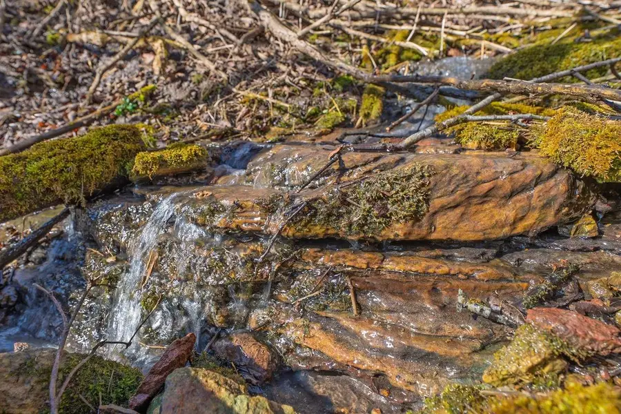 Syresville Lane, Richland Center, WI 53581 - #2