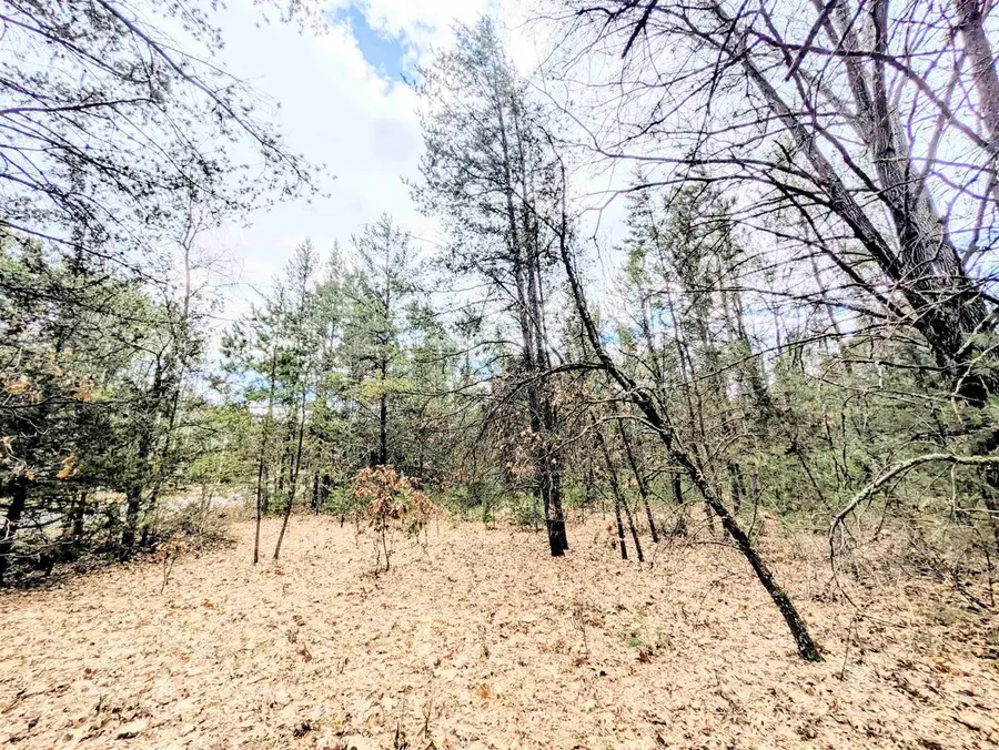 0 Fawn Drive, Grand Marsh, WI 53936 - #2