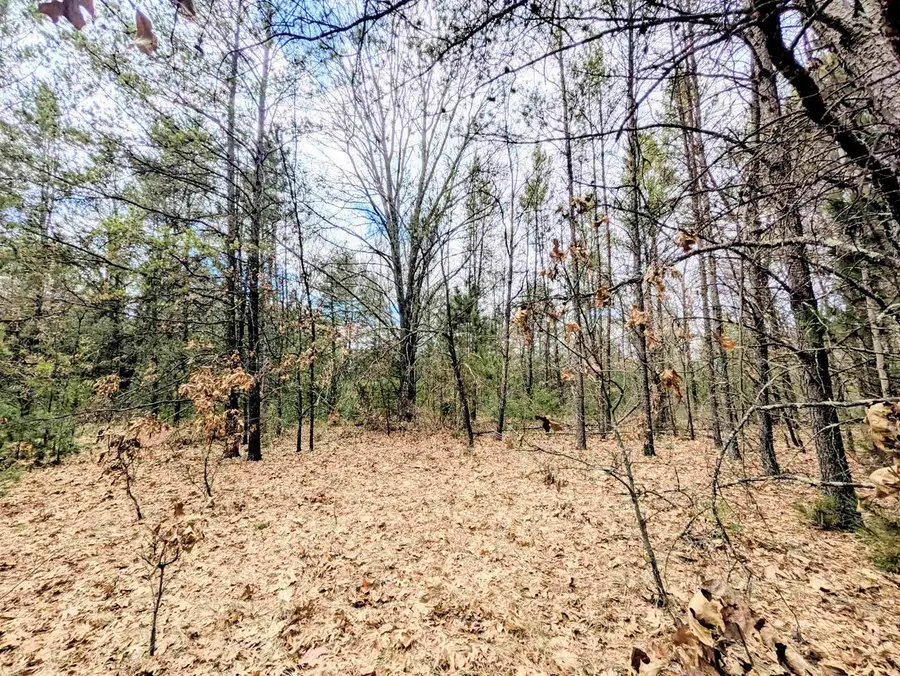 0 Fawn Drive, Grand Marsh, WI 53936 - #3