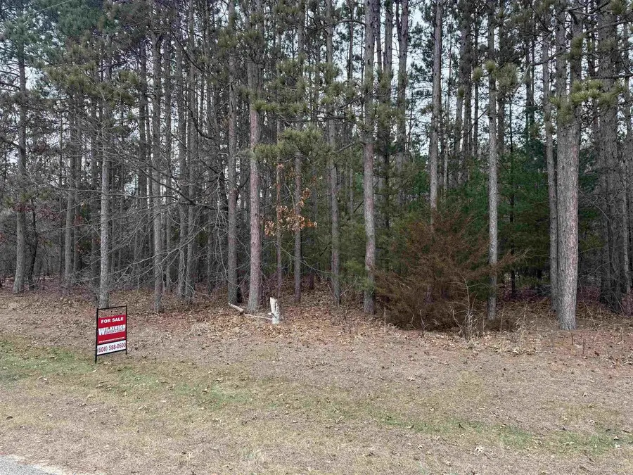 NHN Phylane Road, Lone Rock, WI 53556 - #3