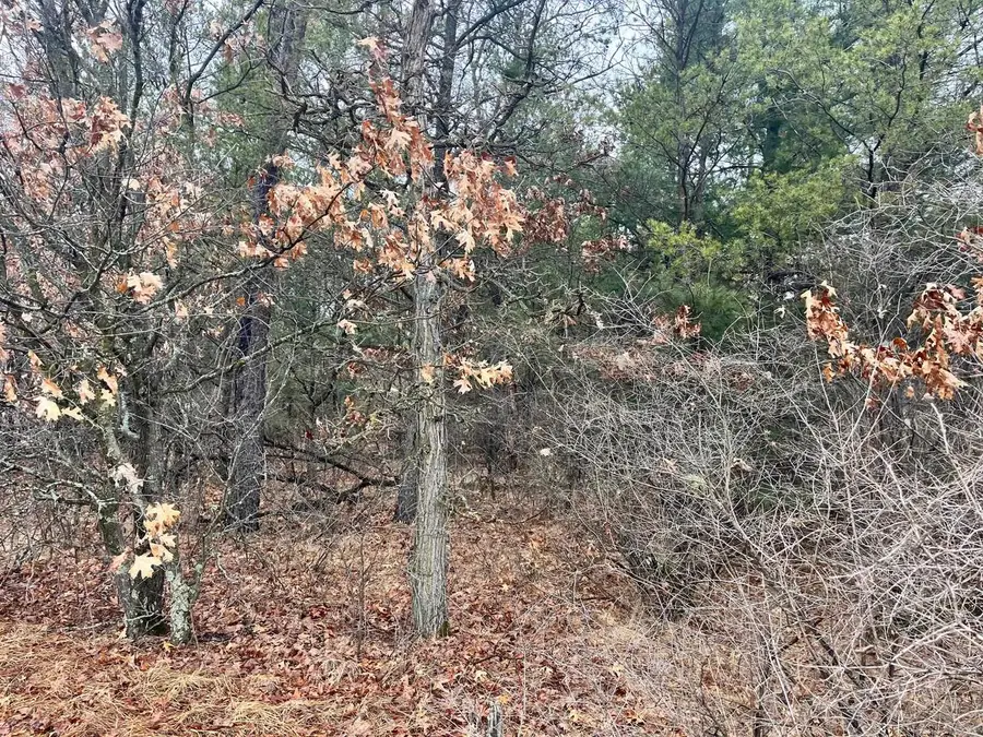 5.99 Ac State Road 13, Friendship, WI 53934 - #3