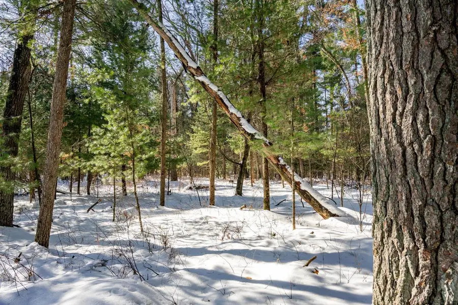 3.2 acres County Road C, New Lisbon, WI 53950 - #3