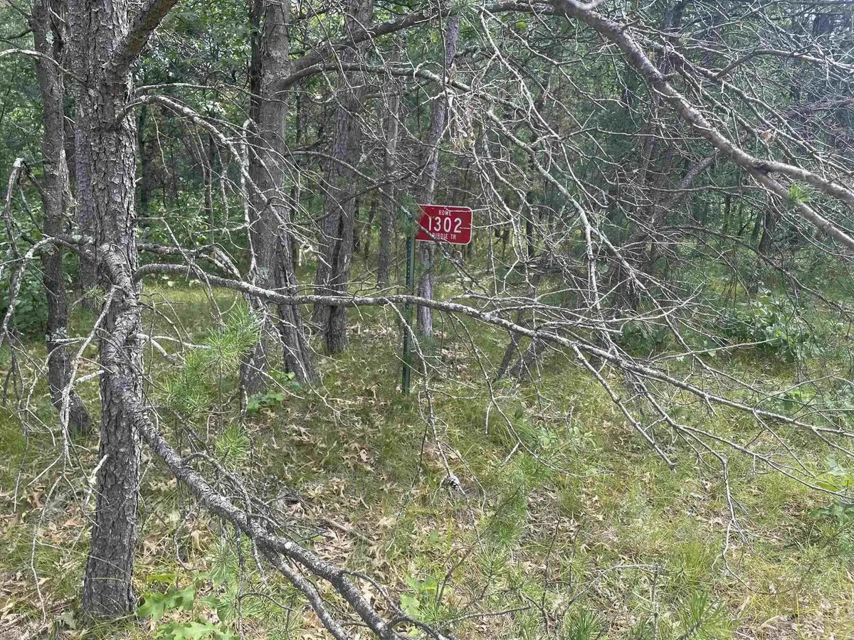 1302 Birdie Trail, Nekoosa, WI 54457 - #1