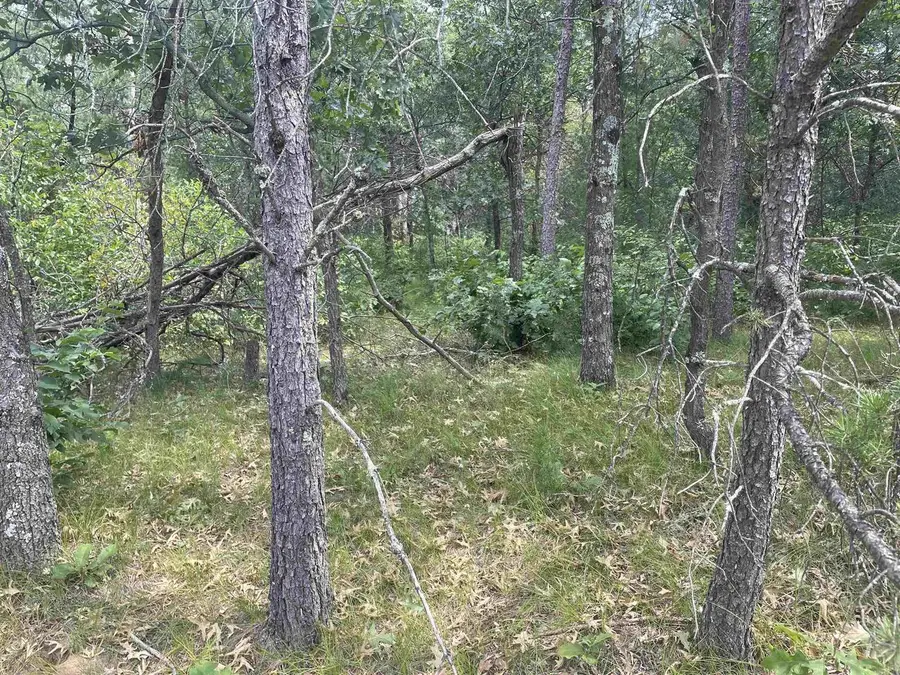 1302 Birdie Trail, Nekoosa, WI 54457 - #2