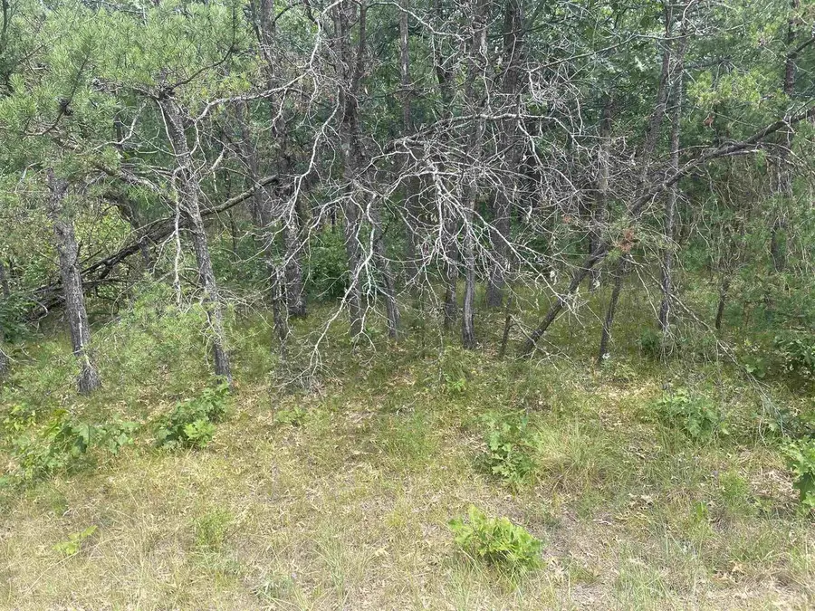 1302 Birdie Trail, Nekoosa, WI 54457 - #3