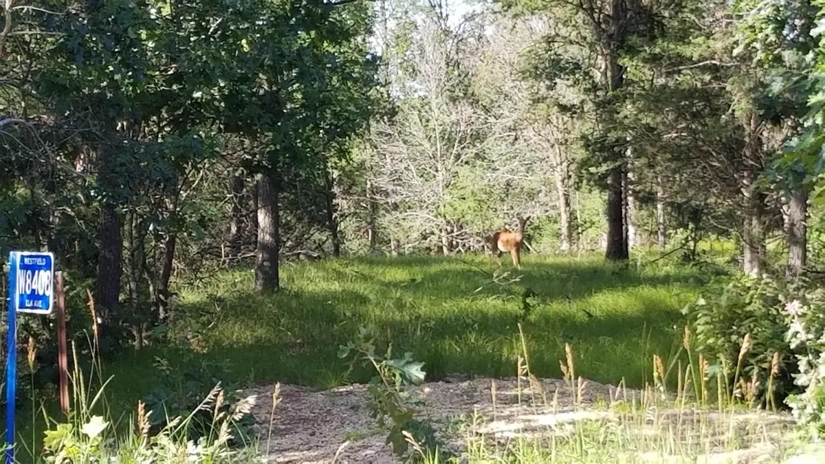 W8408 Elk Avenue, Oxford, WI 53952 - #1