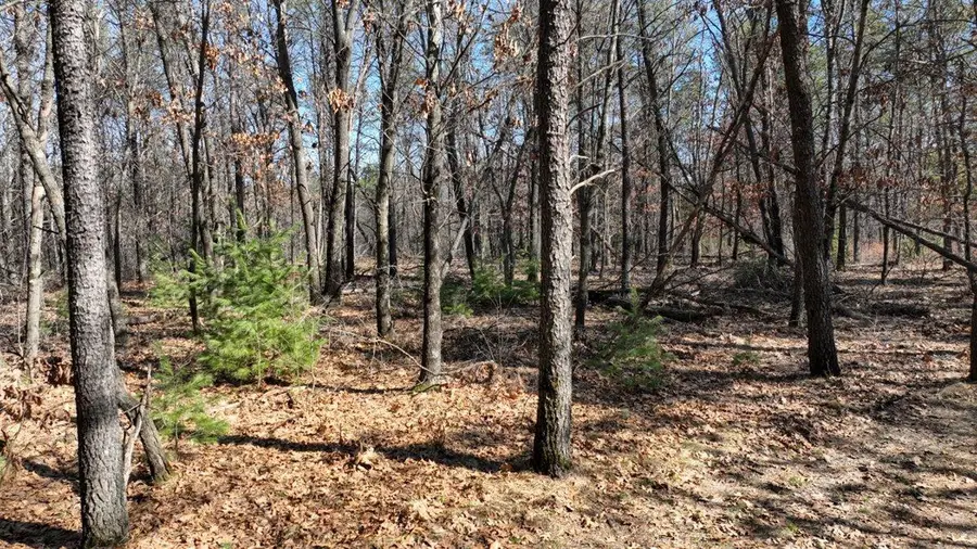 Lot 42 Eileen Lane, Lyndon Station, WI 53944 - #2