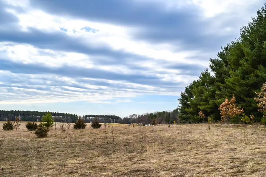 4th Avenue, Coloma, WI 54930 - #3