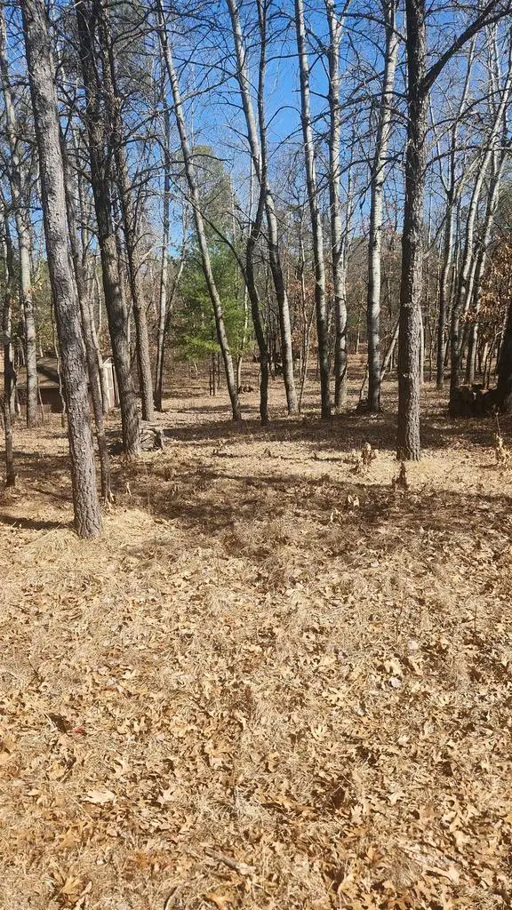 1584 Kingswood Trail, Nekoosa, WI 54457 - #1
