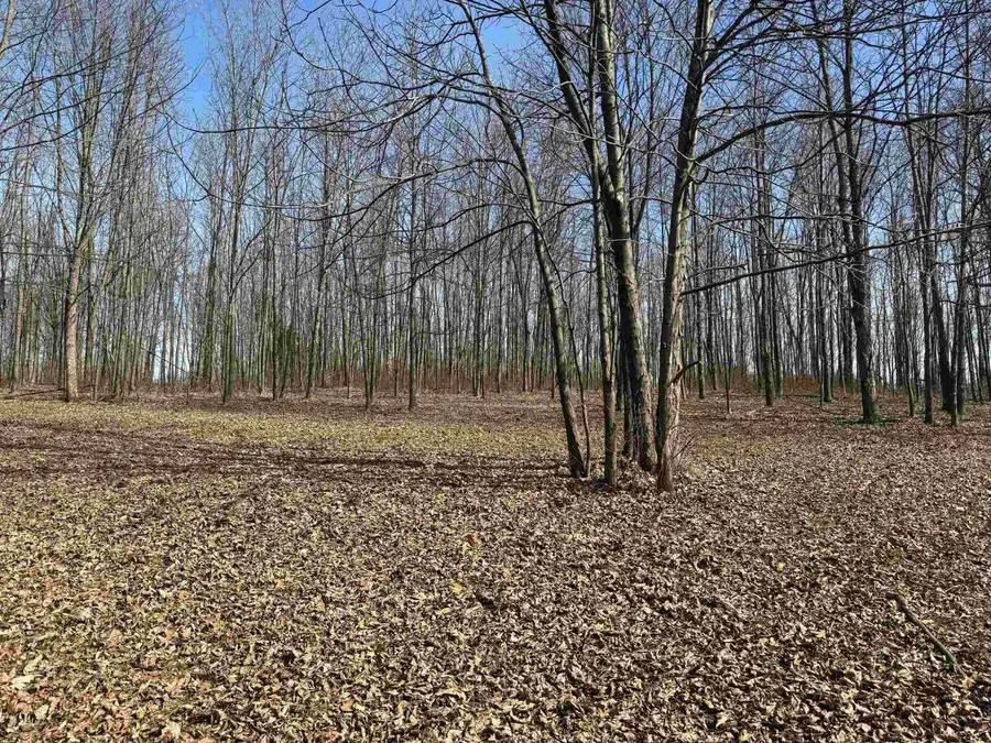 000 County Hwy DD Road, Richland Center, WI 53581 - #2