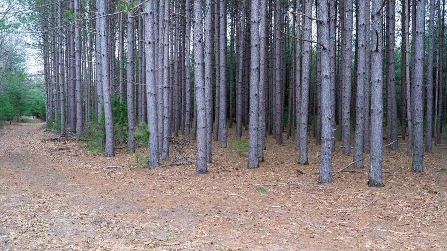 255.45 Ac Dover Drive, Adams, WI 53910 - #2