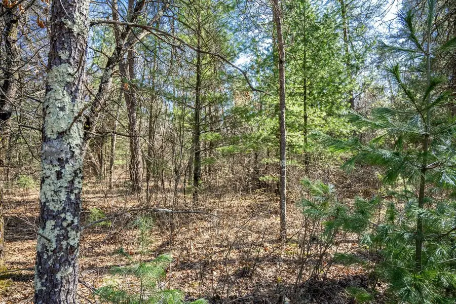 Lot 3 Morros Mile Road, Necedah, WI 54646 - #3