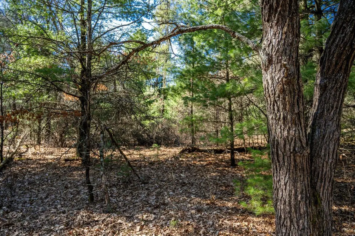 Lot 4 Morros Mile Road, Necedah, WI 54646 - #1