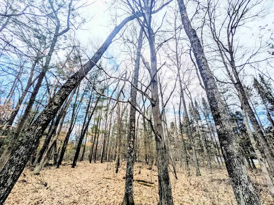 0 11th Avenue, Friendship, WI 53934 - #3