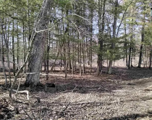 W1080 Dover Road, Neshkoro, WI 54960