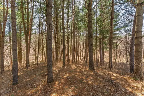Lot 63 Staghorn Court, La Valle, WI 53941