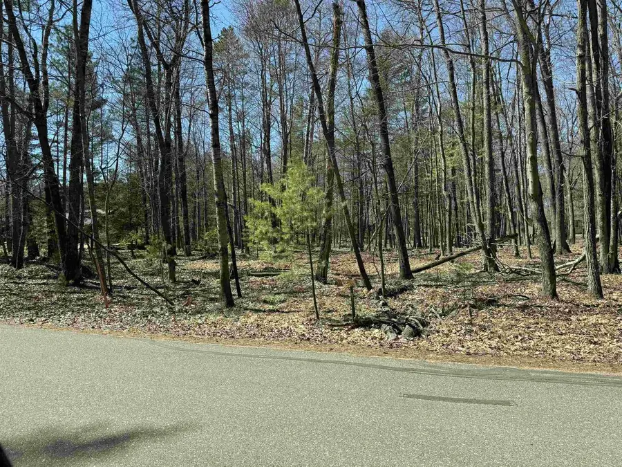Trailwood Drive, Minocqua, WI 54548 - #2