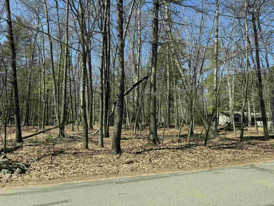 Trailwood Drive, Minocqua, WI 54548 - #3