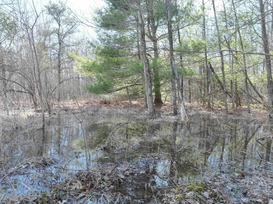 13.34 Ac 22nd Street, Necedah, WI 54646 - #2