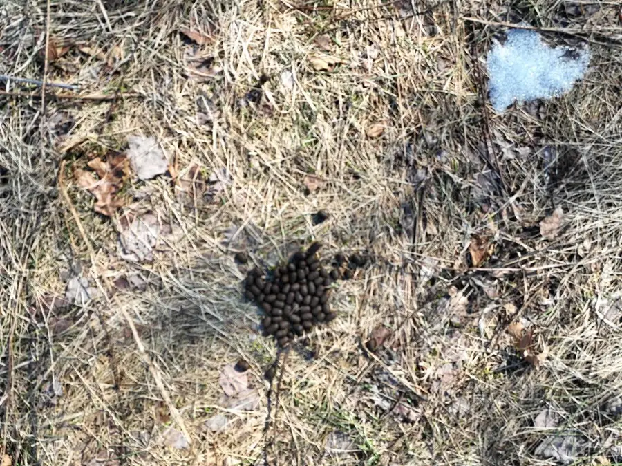 13.34 Ac 22nd Street, Necedah, WI 54646 - #3