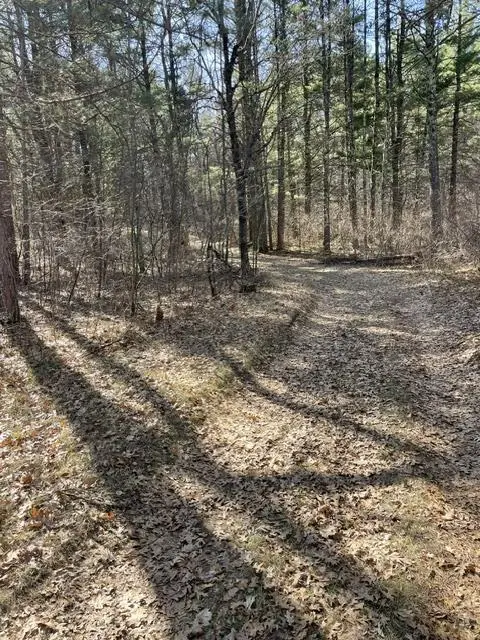 0 Forest Road 1637 Road, Stephenson, WI 54161 - #2
