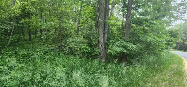 L7 Oakleaf Ln, Wisconsin Dells, WI 53965 - #1