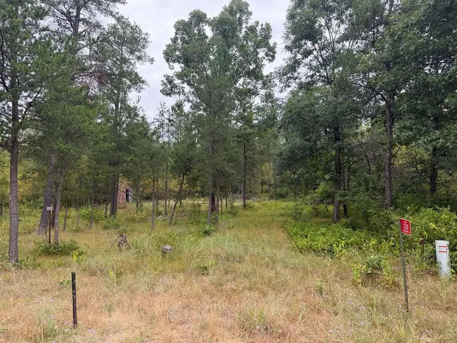 330 Blue Waters Trail, Nekoosa, WI 54457 - #2