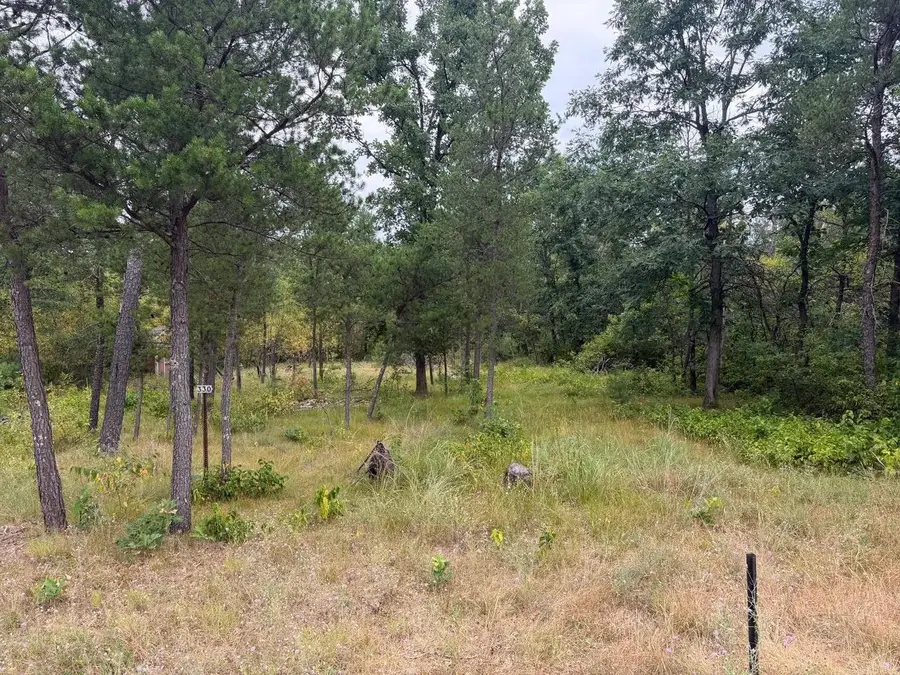330 Blue Waters Trail, Nekoosa, WI 54457 - #3