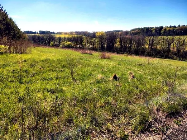 Lot  13 Holly Lane, Belleville, WI 53508