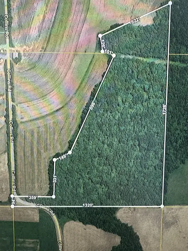 27.64 Acres, Collins Road, Mount Hope, WI 53816
