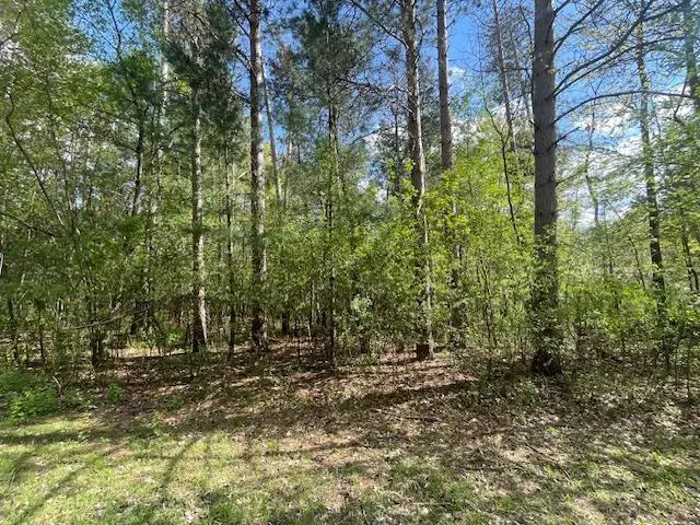 Lots 4 & 5 S Czech Lane, Friendship, WI 53934 - #1