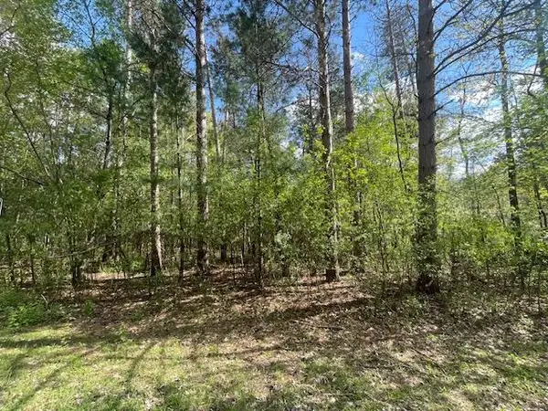 Lots 4 & 5 Czech Lane, Friendship, WI 53934
