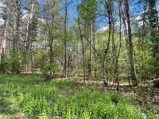 Lots 4 & 5 S Czech Lane, Friendship, WI 53934 - #2