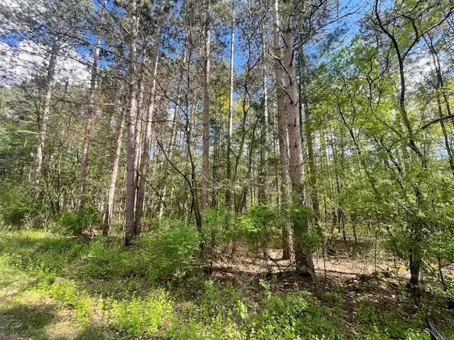 Lots 4 & 5 S Czech Lane, Friendship, WI 53934 - #3