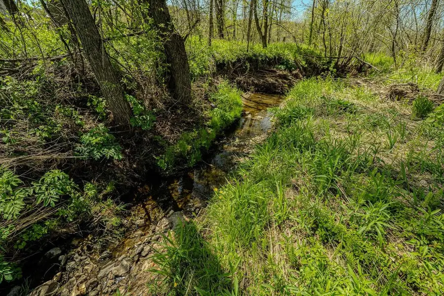 7 acres London Avenue, Wilton, WI 54670 - #2