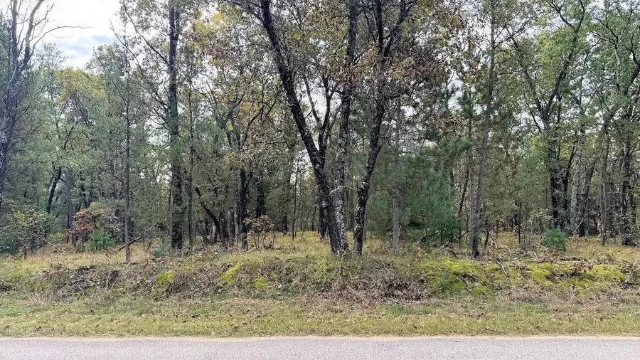40.18 Acres Deerborn Avenue, Friendship, WI 53934 - #3