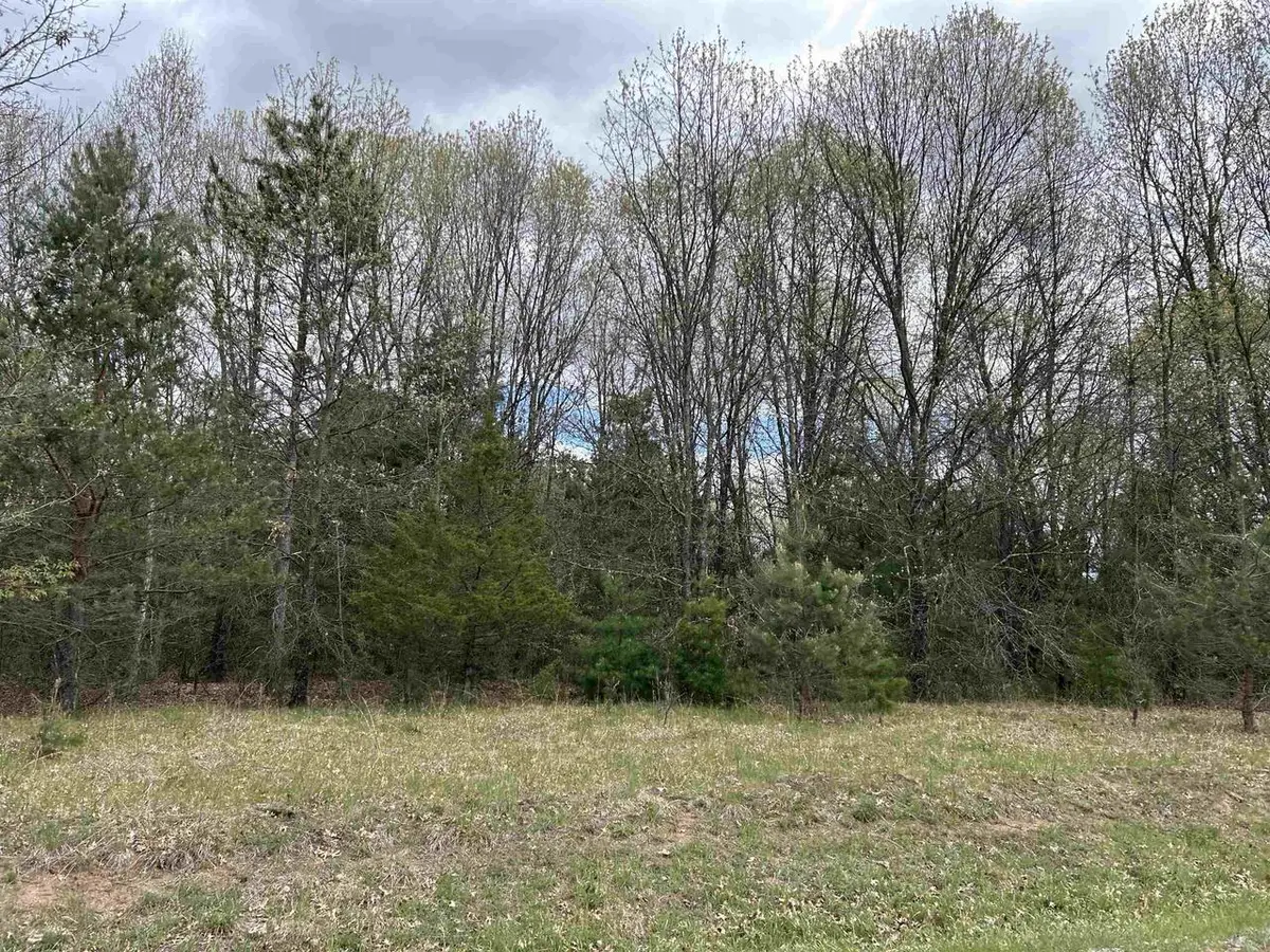 Lot 1 Czech Lane, Neshkoro, WI 54960 - #1