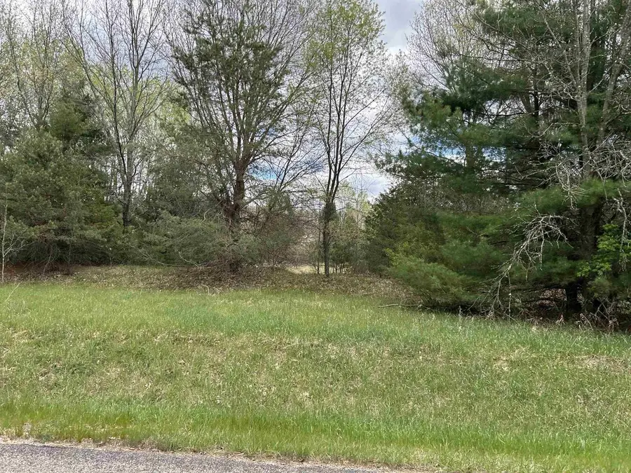 Lot 1 Czech Lane, Neshkoro, WI 54960 - #3