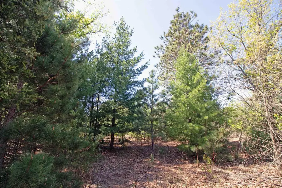 Lot20 Timber Trail, Spring Green, WI 53588 - #3