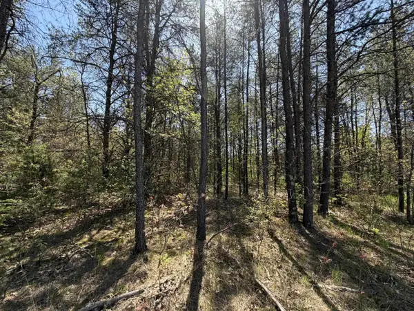 1.52 Acres Queens Way, Necedah, WI 54646