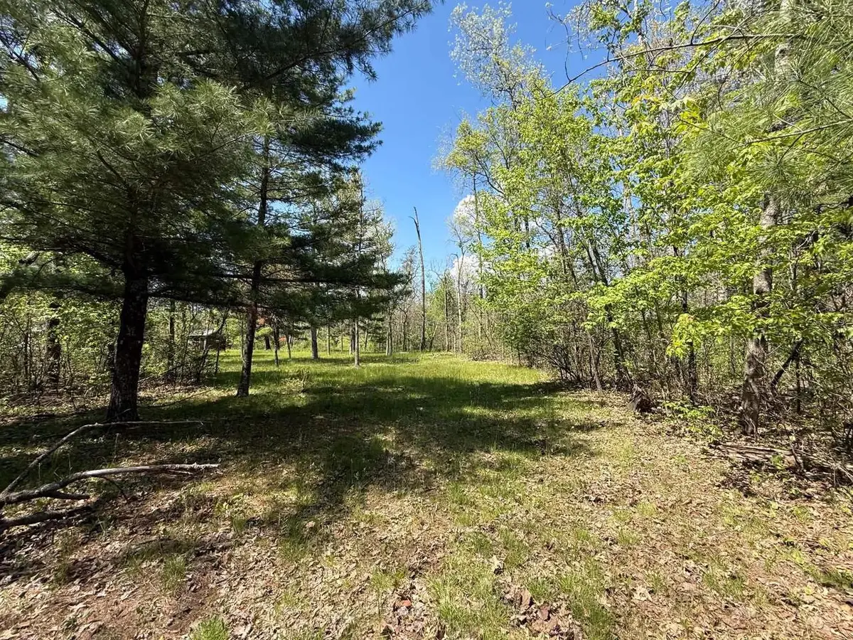 1310 S Cree Drive, Friendship, WI 53934 - #1