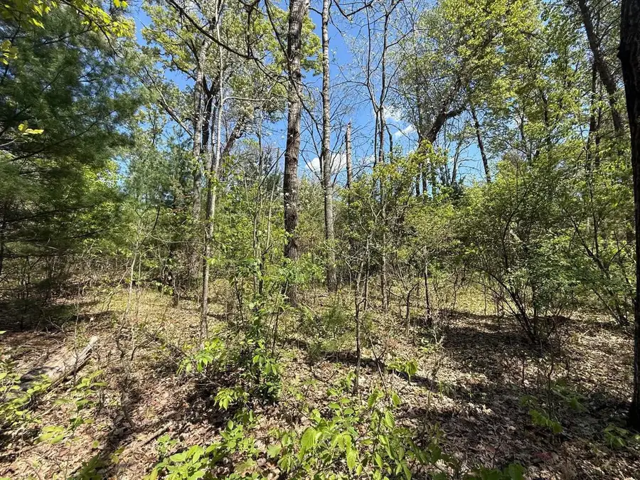 1310 S Cree Drive, Friendship, WI 53934 - #3
