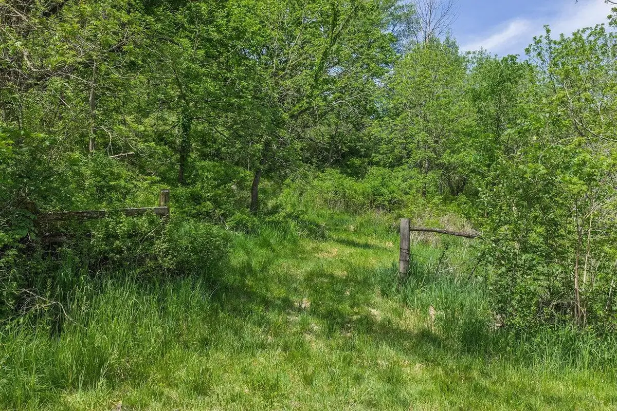 Dog Hollow Road, Cazenovia, WI 53924 - #1