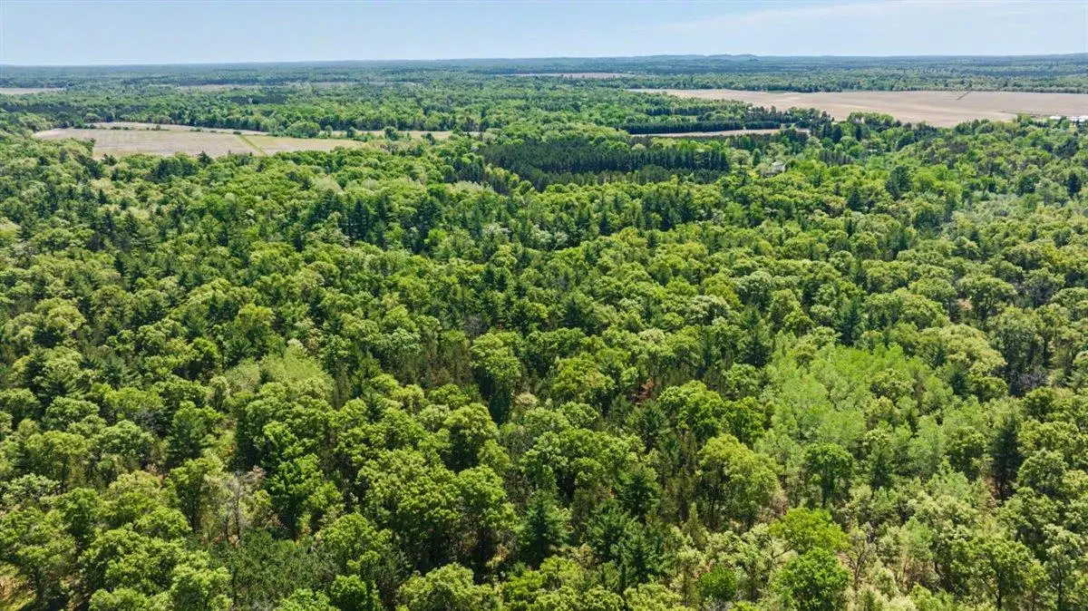 40+/- Acres Highway 13, Friendship, WI 53934 - #1